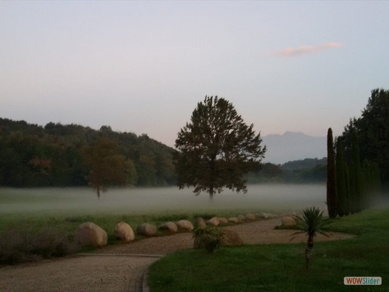 Foto_Bose_Sett_19 (26)