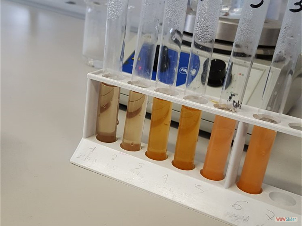 PLS_Nanoparticelle_UPO (1)