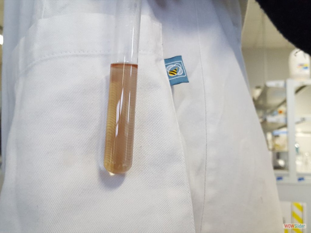 PLS_Nanoparticelle_UPO (11)