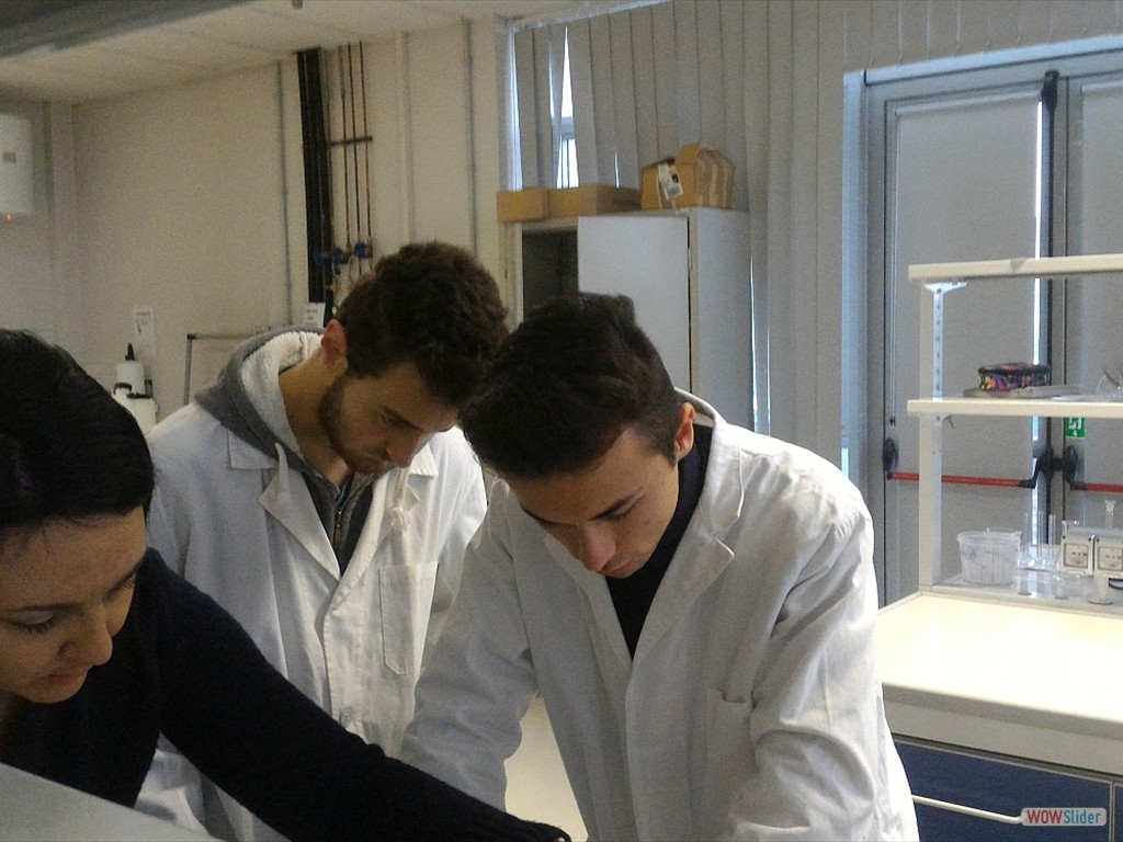 PLS_Nanoparticelle_UPO (12)