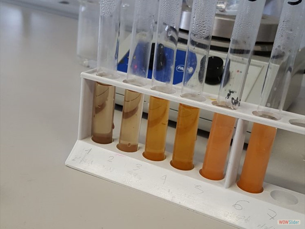 PLS_Nanoparticelle_UPO (2)