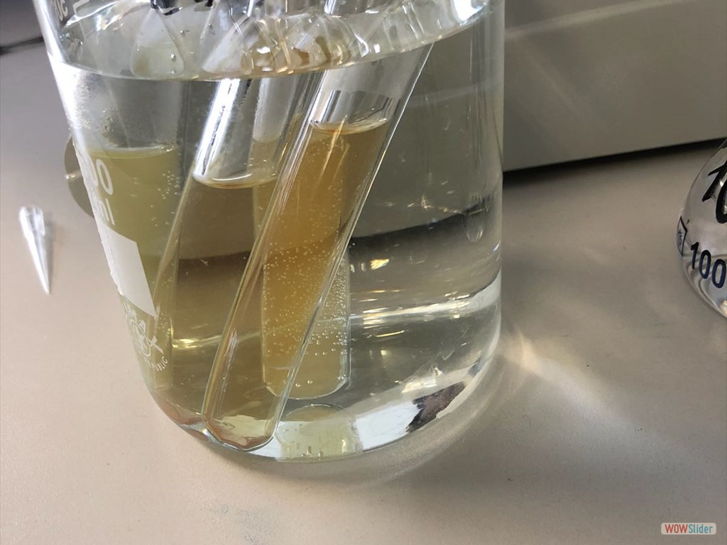 PLS_Nanoparticelle_UPO (22)