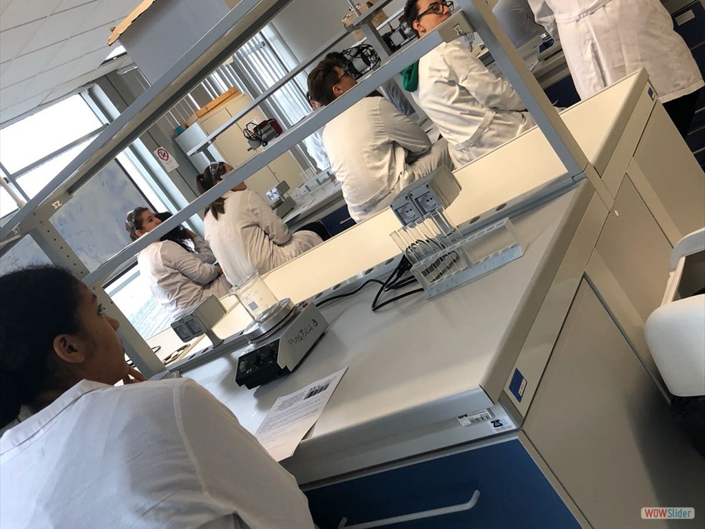 PLS_Nanoparticelle_UPO (27)
