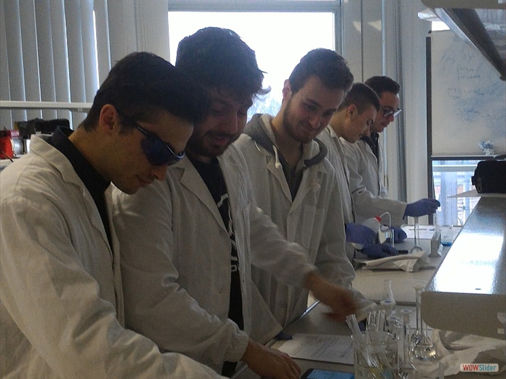 PLS_Nanoparticelle_UPO (2)