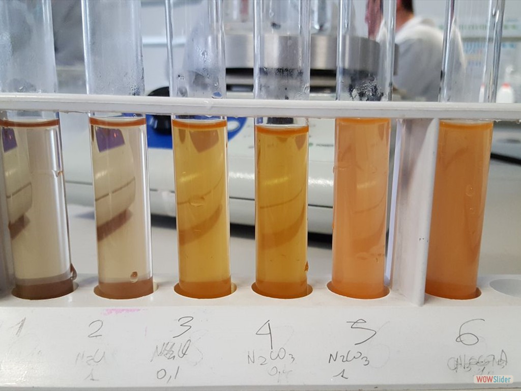 PLS_Nanoparticelle_UPO (3)