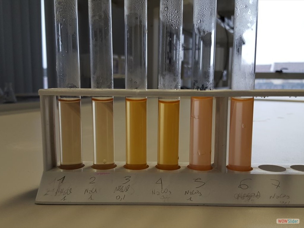 PLS_Nanoparticelle_UPO (4)