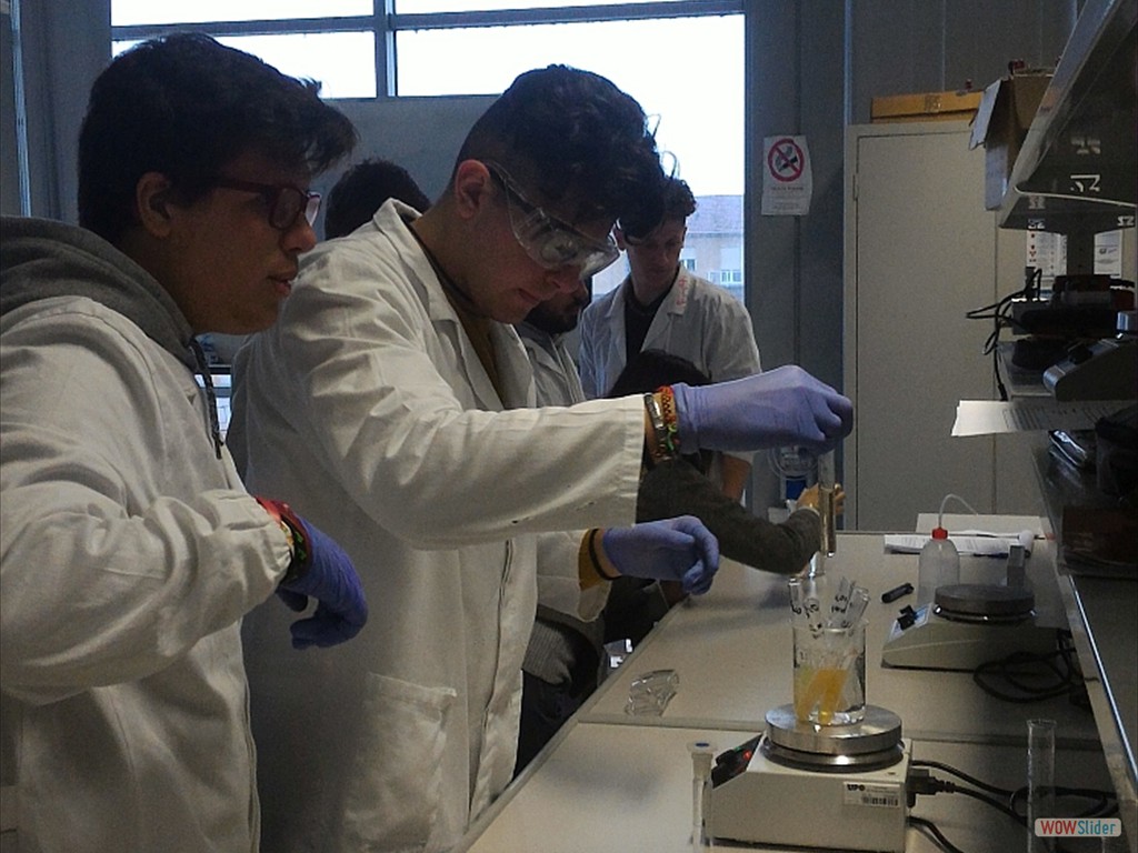 PLS_Nanoparticelle_UPO (4)