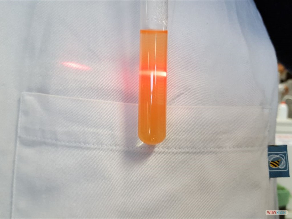 PLS_Nanoparticelle_UPO (5)