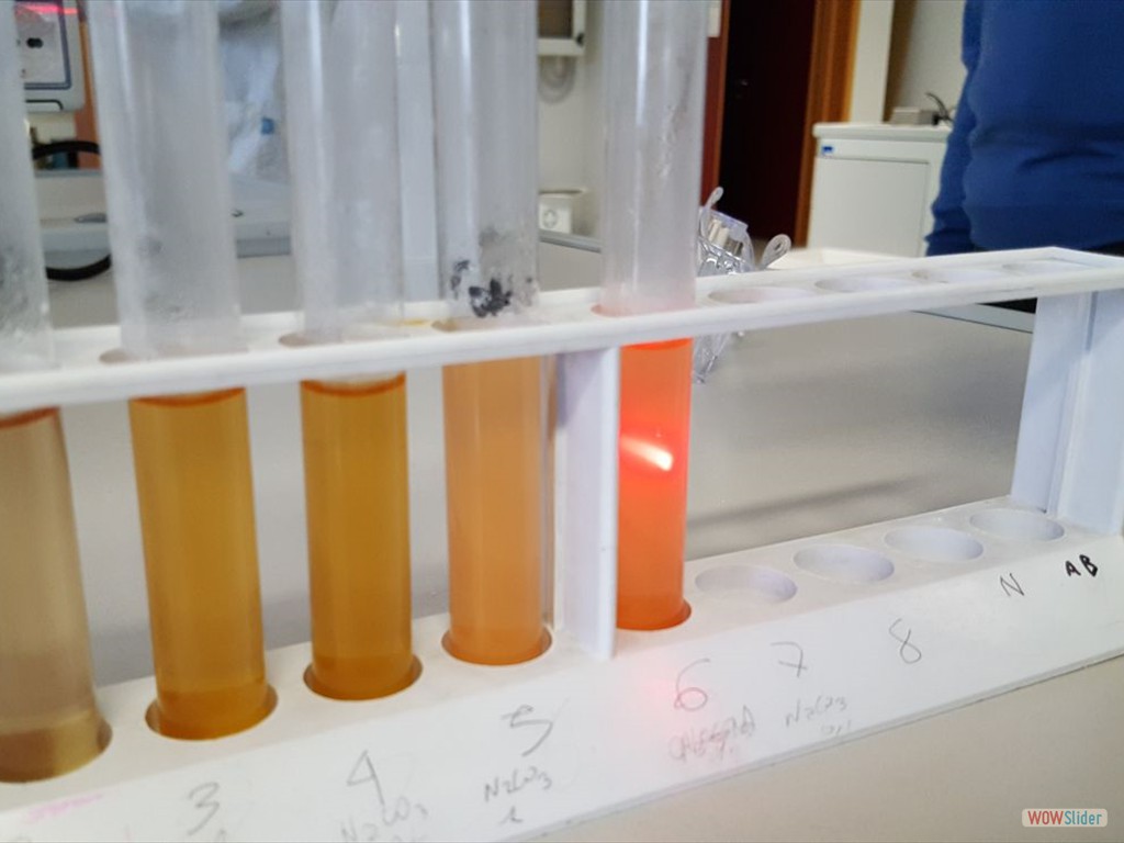 PLS_Nanoparticelle_UPO (6)