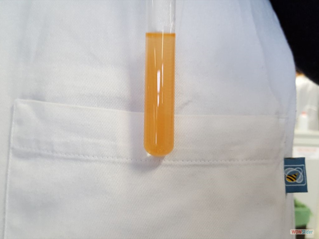 PLS_Nanoparticelle_UPO (7)
