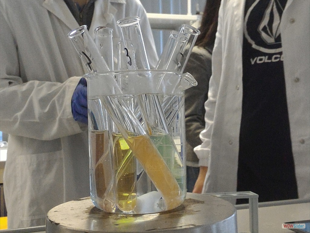 PLS_Nanoparticelle_UPO (7)