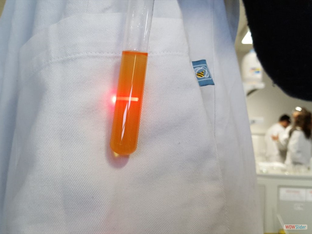 PLS_Nanoparticelle_UPO (8)