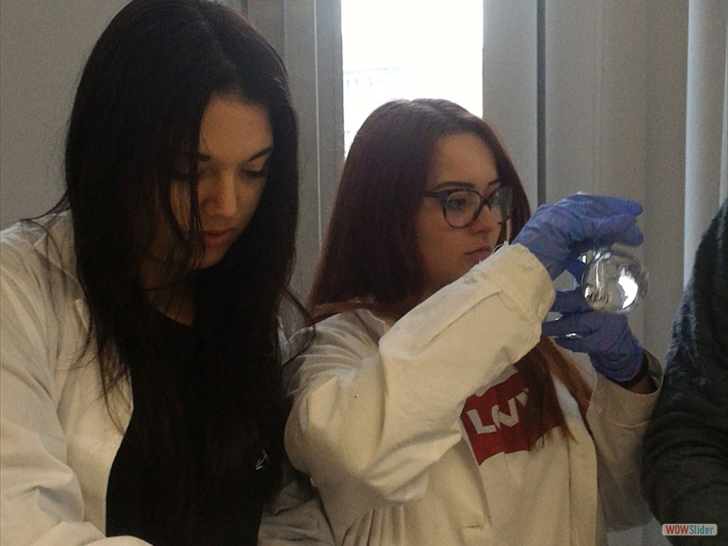 PLS_Nanoparticelle_UPO (8)
