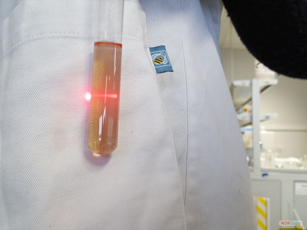 PLS_Nanoparticelle_UPO (9)
