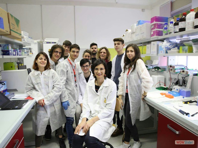 UPOACADEMY (16)