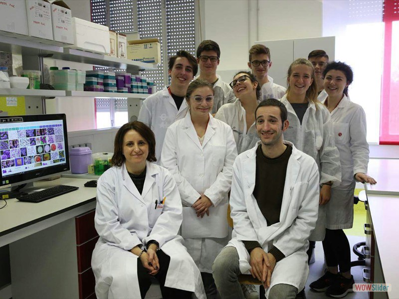 UPOACADEMY (2)