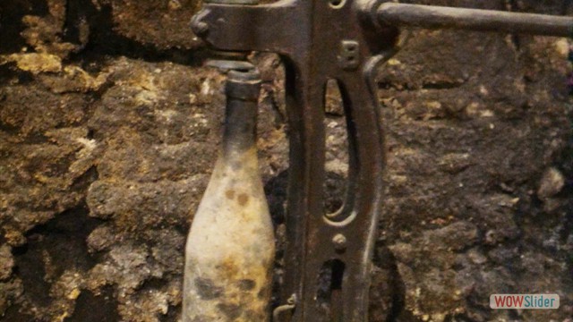 Visita_Cantina_Borgogno_Barolo (15)
