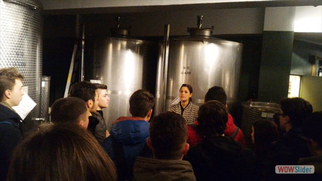 Visita_Cantina_Borgogno_Barolo (34)
