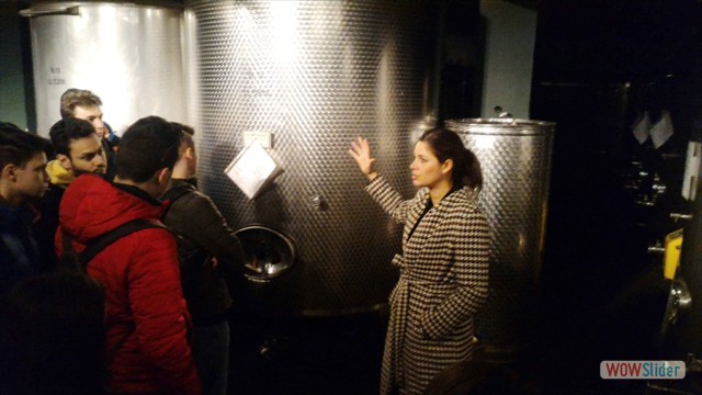 Visita_Cantina_Borgogno_Barolo (37)