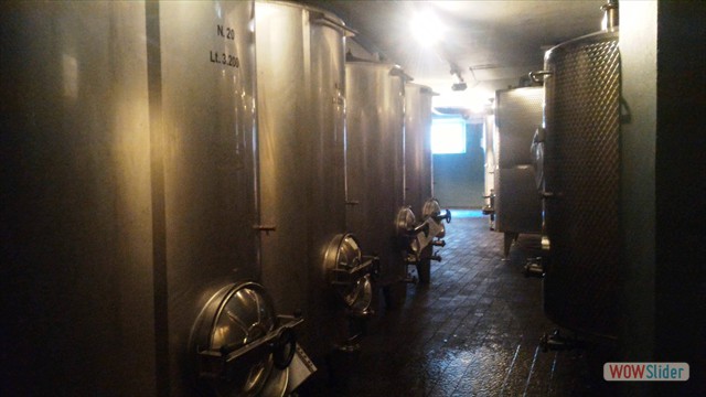 Visita_Cantina_Borgogno_Barolo (42)