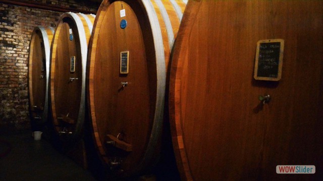 Visita_Cantina_Borgogno_Barolo (46)
