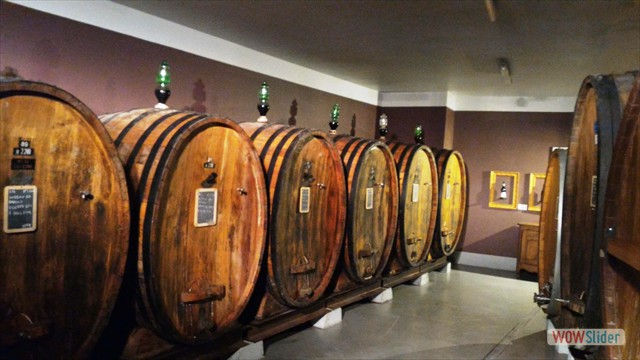 Visita_Cantina_Borgogno_Barolo (50)