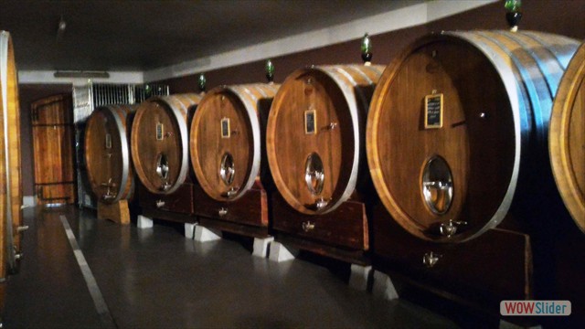 Visita_Cantina_Borgogno_Barolo (51)