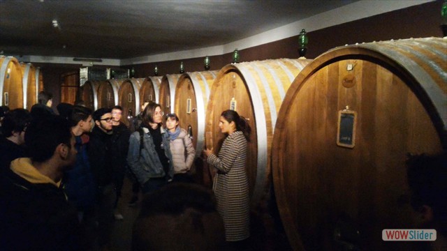 Visita_Cantina_Borgogno_Barolo (53)