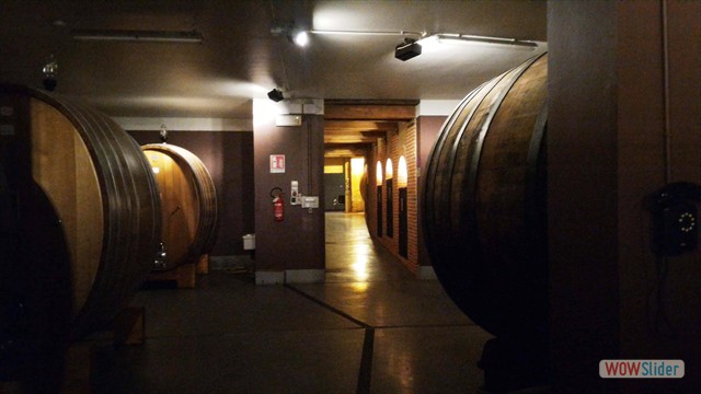 Visita_Cantina_Borgogno_Barolo (54)