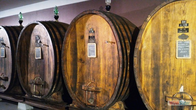 Visita_Cantina_Borgogno_Barolo (56)
