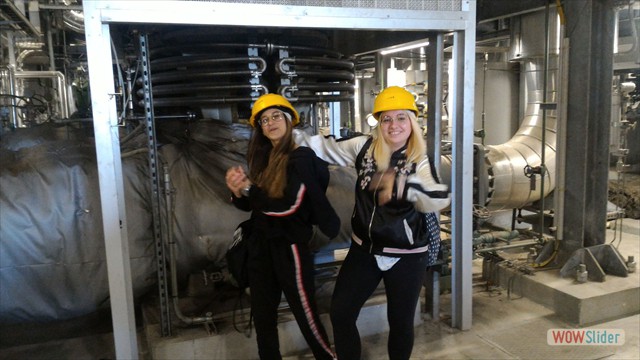 Visita_Centrale_Termoelettrica_TO (43)