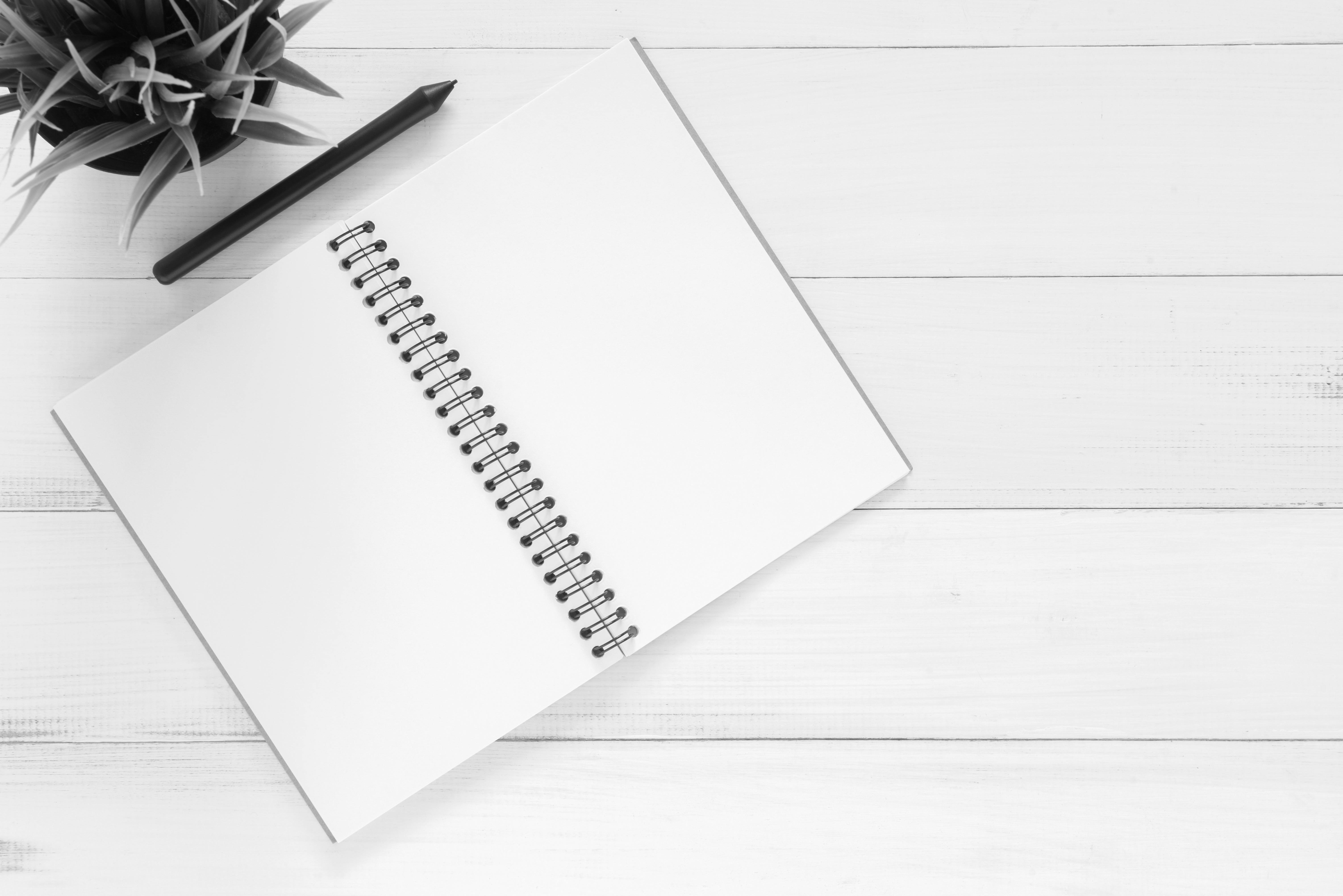 gestione progetto e organizzazione d'impresa