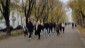 La camminata della scuola (6)