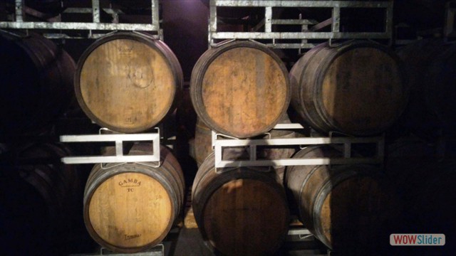 Visita_Cantina_Borgogno_Barolo (52)