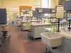 Laboratorio di Analisi Tecnica