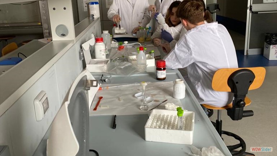 Foto_Gallery_Lab_UPO (10)