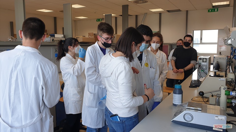 Foto_Gallery_Lab_UPO (1)