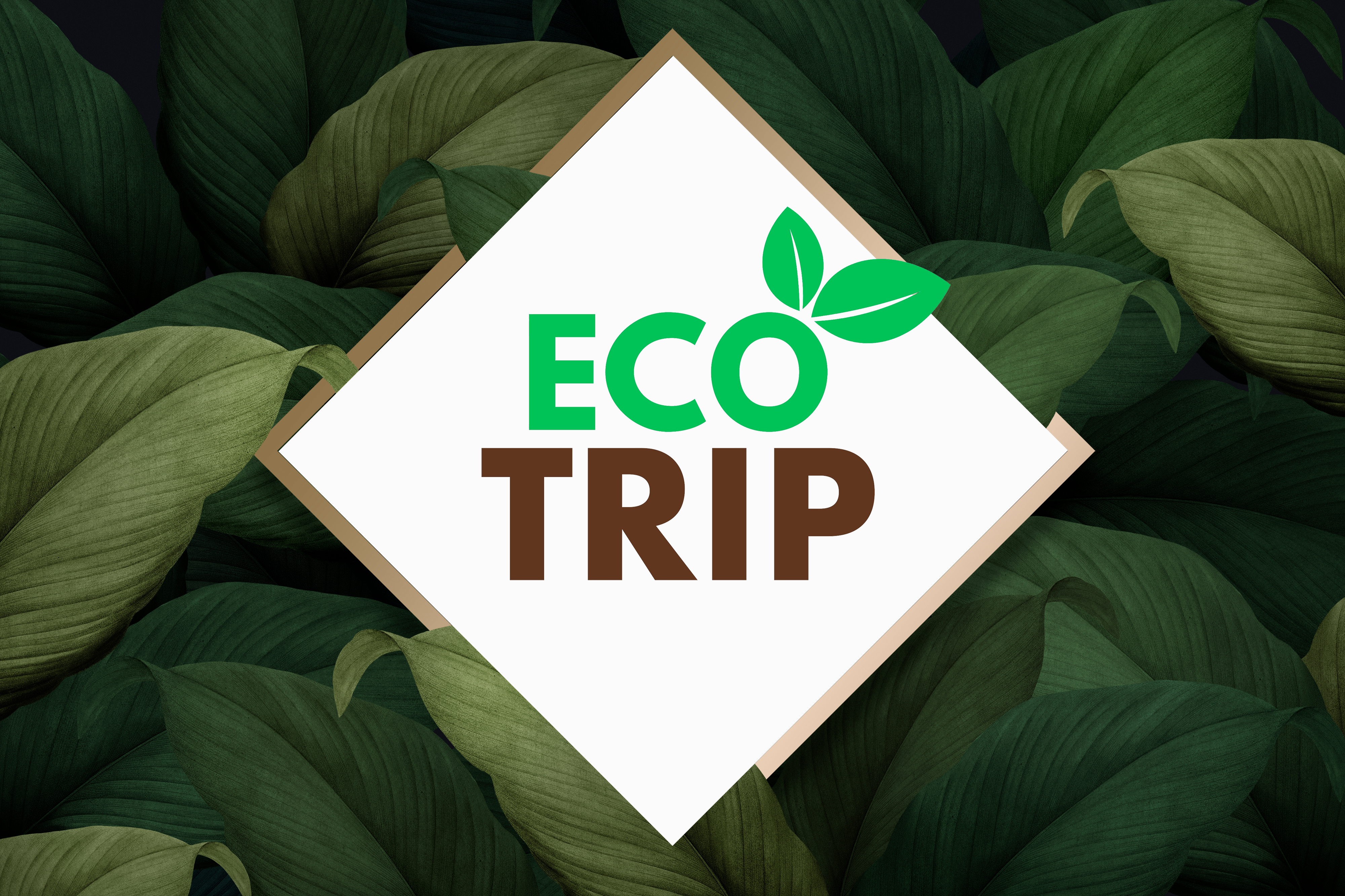 EcoTrip