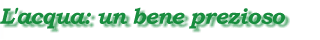 acqua.gif (4151 byte)