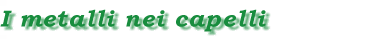 capelli.gif (3883 byte)