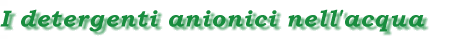 detergenti.gif (5355 byte)