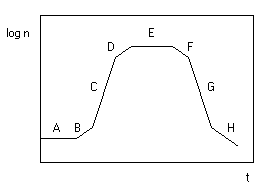 fermen2.gif (1953 byte)