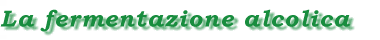 fermentazione.gif (4617 byte)